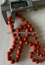 Coral Necklace - Image 3