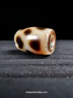Dzi Bead - Image 3