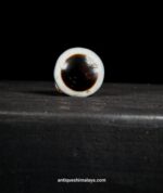 Ancient Lukmik - Image 6