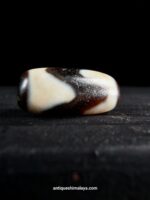 Dzi Bead