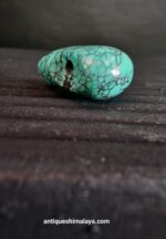 Turquoise Guru - Image 6