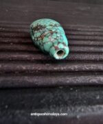 Turquoise Guru - Image 4