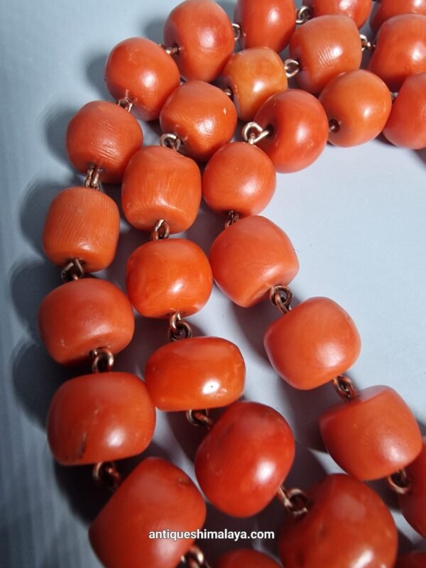 Coral Necklace - Image 4