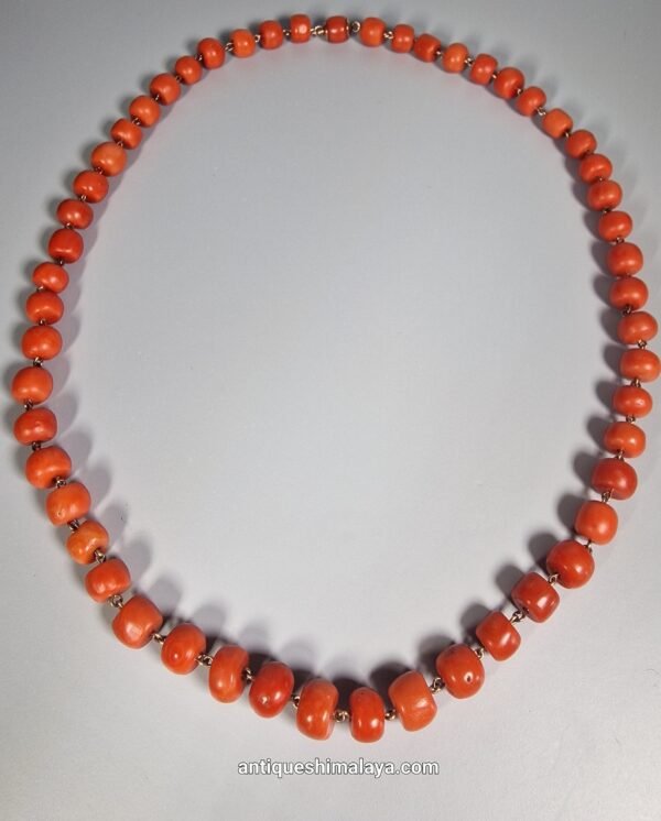 Coral Necklace - Image 3
