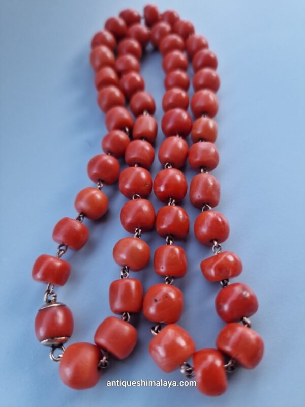 Coral Necklace - Image 9