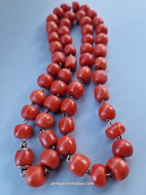 Coral Necklace - Image 11
