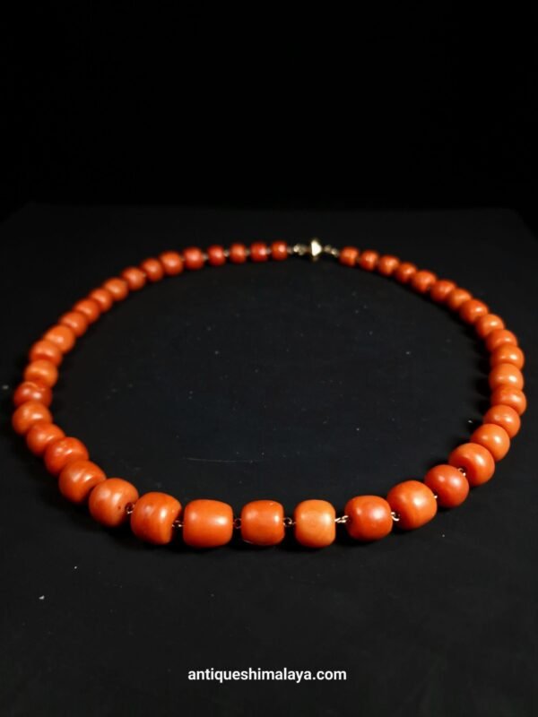 Coral Necklace - Image 3