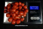 Coral Necklace - Image 9