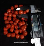Coral Necklace - Image 12