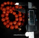 Coral Necklace - Image 5
