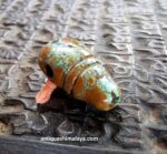 Turquoise Guru - Image 3