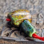 Turquoise Guru - Image 5