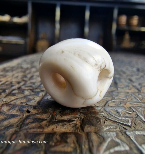 Shell Guru