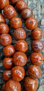 Nepal Bodhi/Mala - Image 2