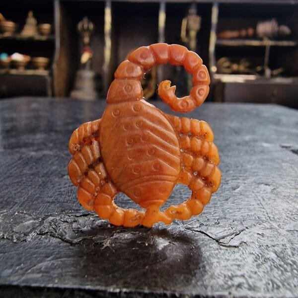Kapala scorpion - Image 4