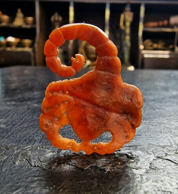 Kapala scorpion - Image 3