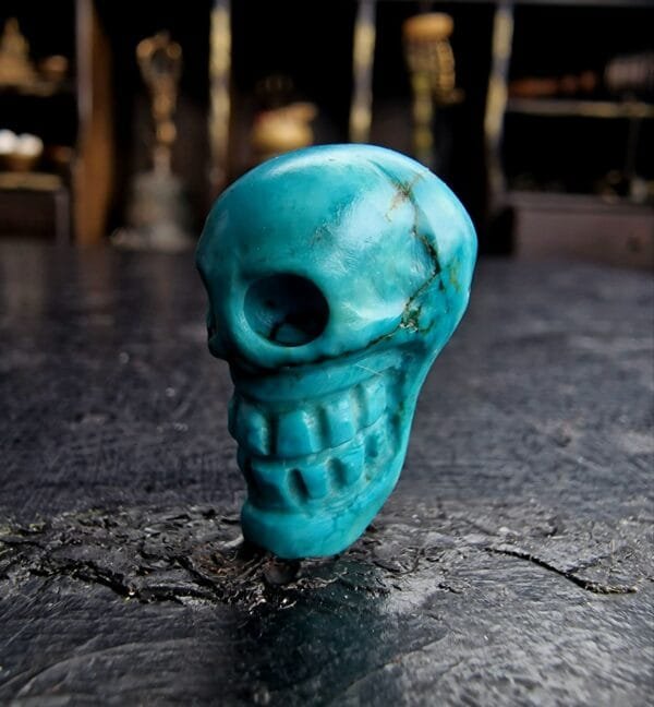Turquoise Skull - Image 5