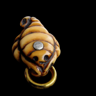 Scorpion Ivo Bead