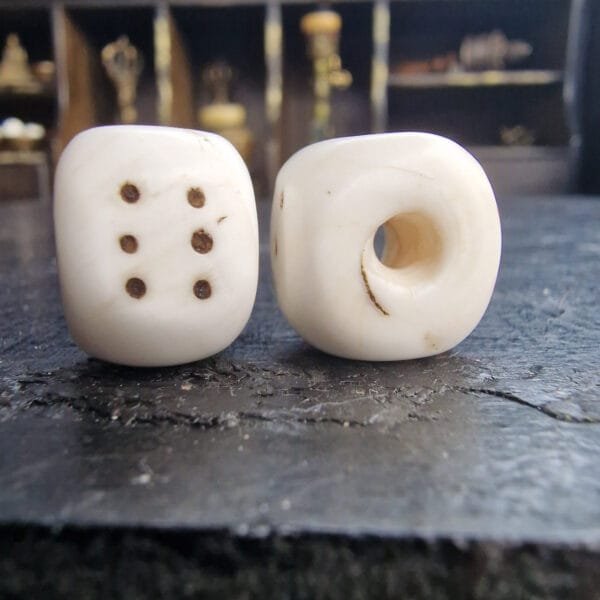 Conch Dice - Image 2