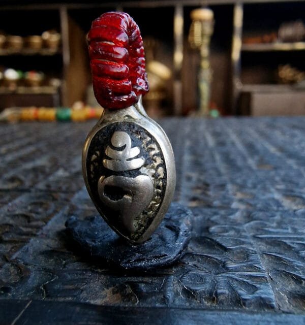 Mala Conch - Image 2