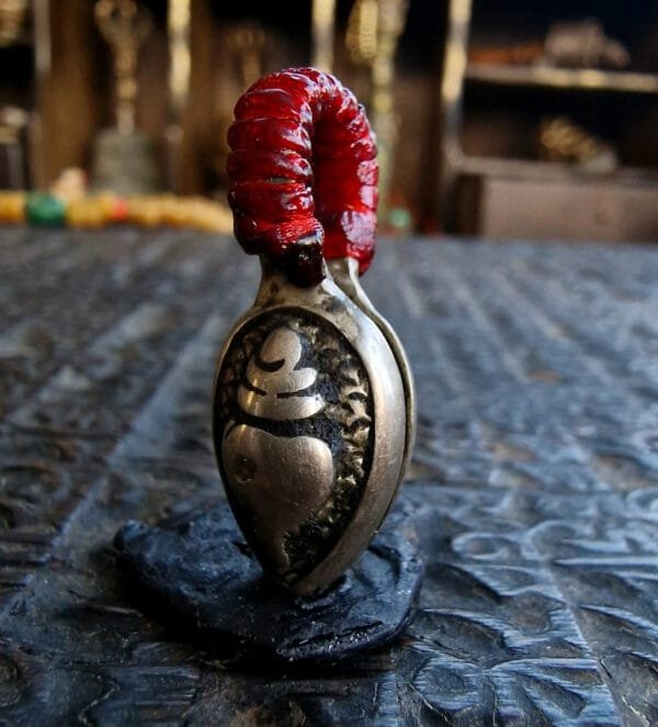 Mala Conch - Image 3
