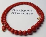 Coral Necklace white background