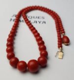 Coral Necklace on white