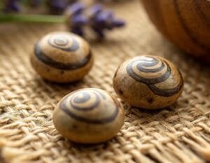 Two-eye bodyseed with natural segmentation