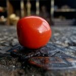 Unique Coral - Turquoise Amber Necklace - Image 5