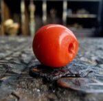 Unique Coral - Turquoise Amber Necklace - Image 11