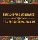 Unique Coral - Turquoise Amber Necklace - Image 12