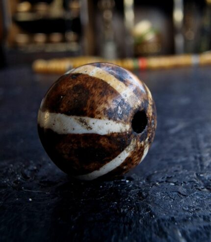 A single ancient Pumtek bead showing high-contrast geometric patterns etched into dark fossilized palm wood.