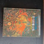 Himalayan Dzi beads book / Tibetan dzi beads