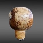 Antique Himalayan Guru Bead | Mid-20th C Relic | Mala Focal Point | Tibetan Meditation Pendant | Spiritual Talisman |