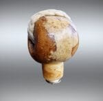 Antique Himalayan Guru Bead | Mid-20th C Relic | Mala Focal Point | Tibetan Meditation Pendant | Spiritual Talisman | - Image 4