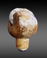 Antique Himalayan Guru Bead | Mid-20th C Relic | Mala Focal Point | Tibetan Meditation Pendant | Spiritual Talisman | - Image 12