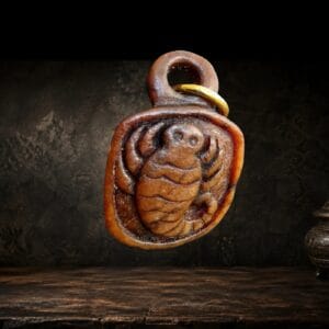 antique kapala scorpion amulet hand carved skull bone aged surface scorpion detail